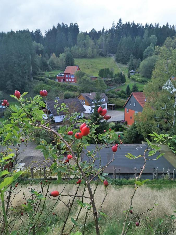 Hotel Zur Schmiede Altenau  Eksteriør bilde